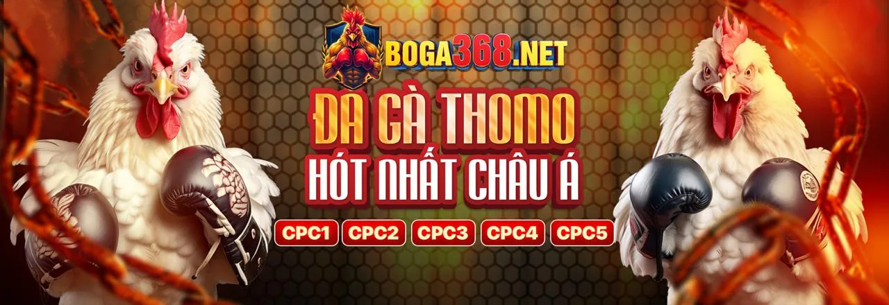 Hình ảnh đảm bảo sự công bằng trong trò chơi tại T68BET